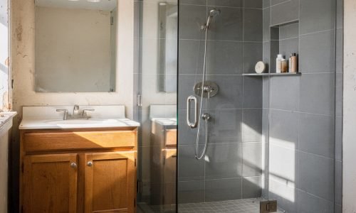 shower replacement vs bathroom remodel